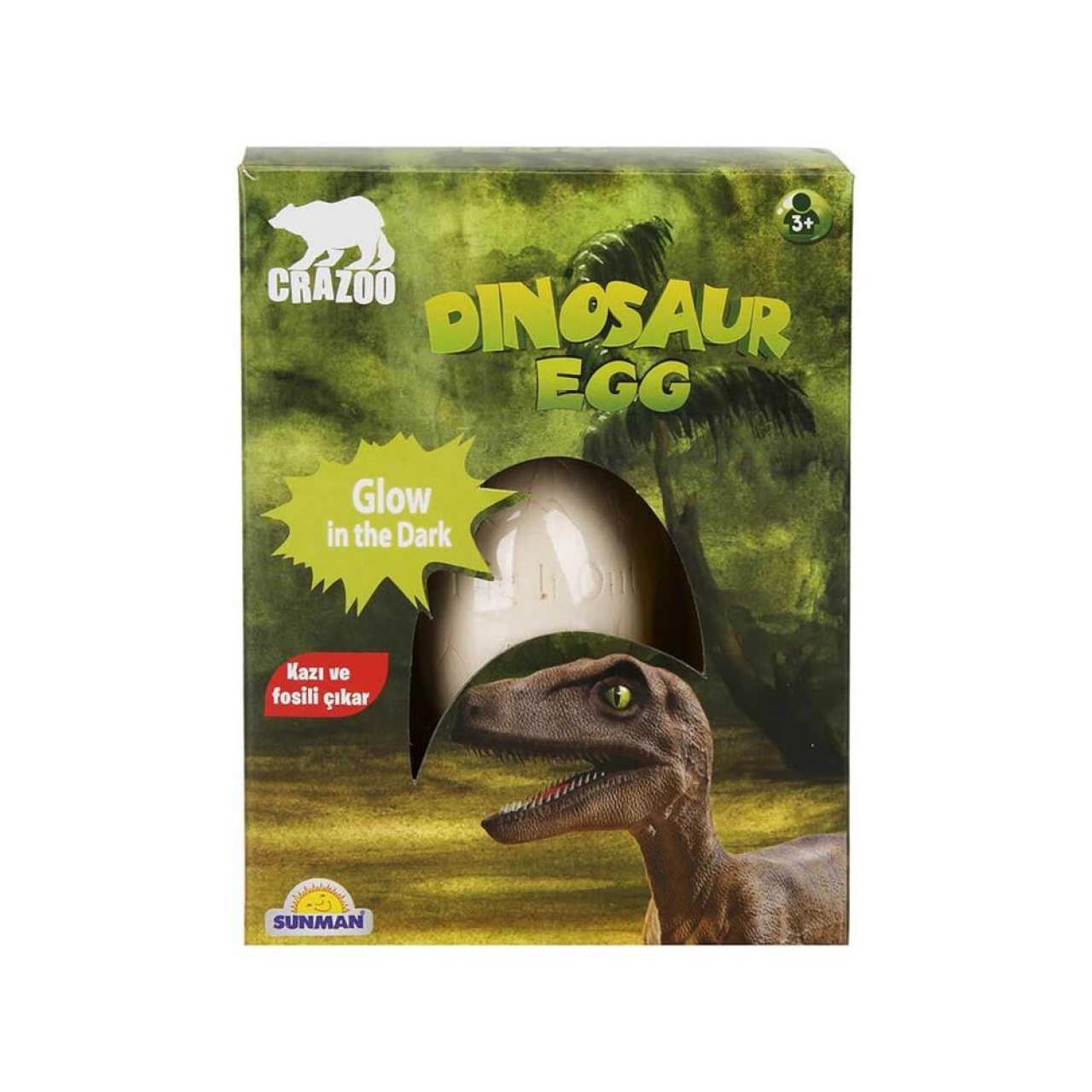 S00002959 Karanlıkta Parlayan Dinozor Yumurtası Kazı Seti